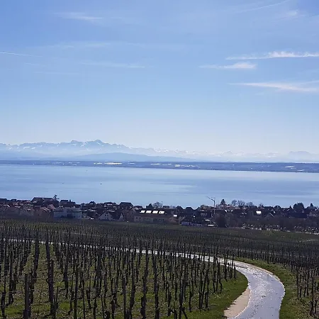 Am Badischen Weinberg Apartmán *