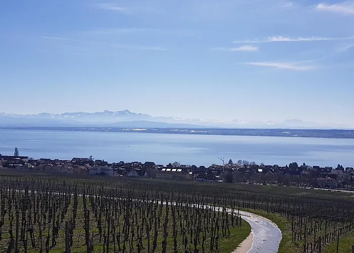 Am Badischen Weinberg 公寓 *